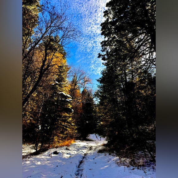 Meet your Posher, Benz Her - Picture 16 of 16